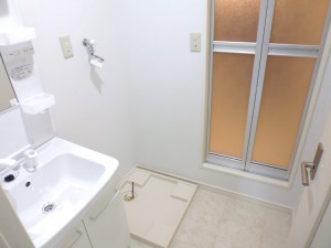 脱衣所には洗髪洗面化粧台を設置