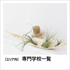 ［エリア内］専門学校一覧